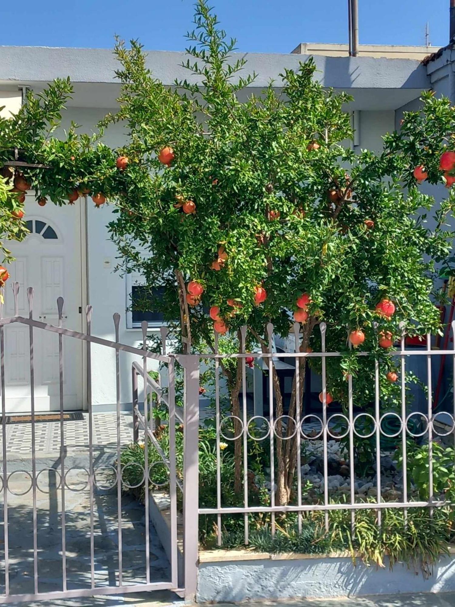 Anastasia'S Home Nea Peramos  Ngoại thất bức ảnh